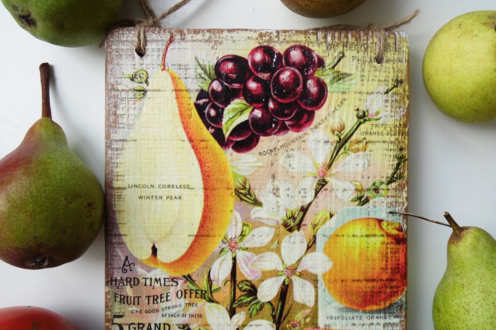 Kitchen Wall Decor Fruit Wall Decor Kitchen Decor Etsy