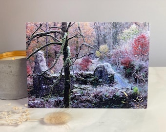Mystical woodland greetings card Argyll Scotland