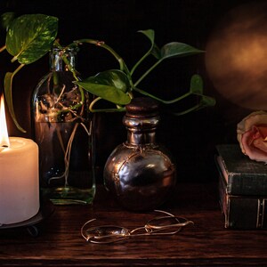 Moonlight and Rose