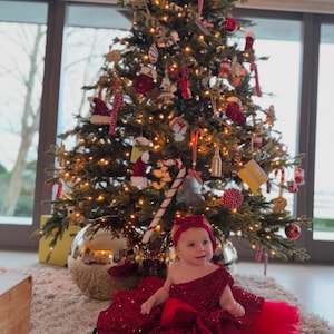 Wine Red Baby Girl Sequin Dress, Birthday Party Outfit with Bow, Toddler Tulle Dress for Weddings, Photoshoots, Special Occasions outfit