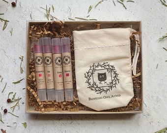 Natural Lipstick Gift Set, Organic Ingredients, Holistic Makeup, Nontoxic Lip and Cheek Color, Fun Gift Idea