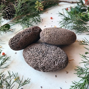 3 Large Dark Lava Pumice Stones. Juniper branches and pine cones in background.