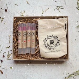 Little Fairy Organic Lipstick Gift Set: Nontoxic Sheer Lip Color