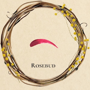 Pu&ograve; includere: Una ghirlanda fatta di ramoscelli marroni con fiori gialli di mimosa. Un solo tratto di pennello rosso si trova al centro della ghirlanda. Il testo "ROSEBUD" &egrave; sotto il tratto di pennello.