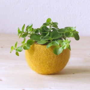 Succulent planter | felt little cachepot, Air plant pot, mustard yellow desk organizer, Christmas gift for teacher