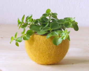 Succulent planter | felt little cachepot, Air plant pot, mustard yellow desk organizer, Christmas gift for teacher