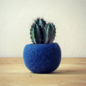 Succulent planter / air plant holder / cactus pot / plant vase / modern decor / housewarming gift for Christmas