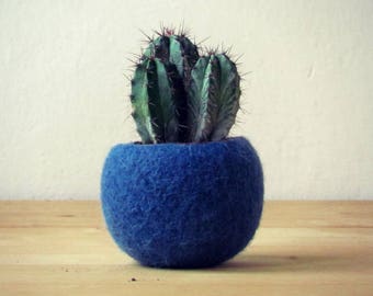 Succulent planter / air plant holder / cactus pot / plant vase / modern decor / housewarming gift for Christmas