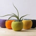 see more listings in the Felt vases section