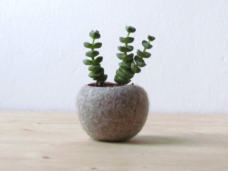 Handmade felt pot holder Japandi home decor, felted bowl, Succulent planter, scandinavian minimalist air plant vase, Mother gift image 1
