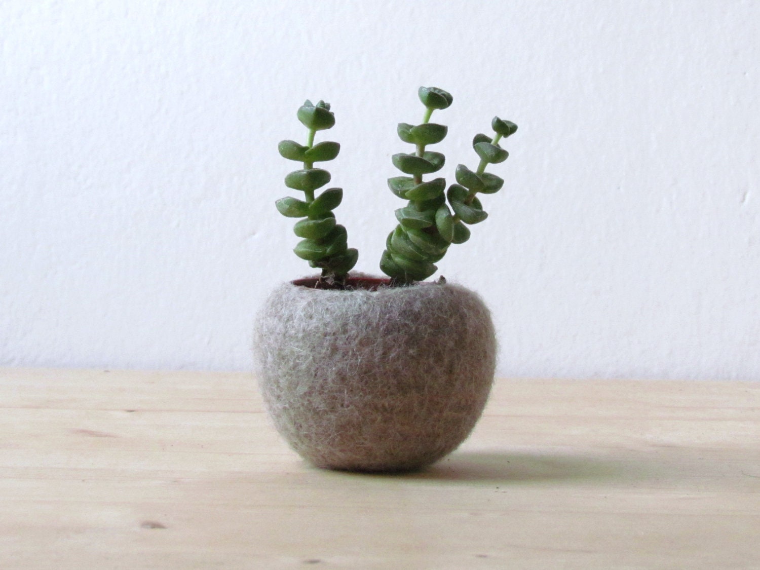 Jardinière en Feutre | Cadeau de Saint-Valentin, Décor Hygge, Bol Feutré, Capsule Succulente, Scandi