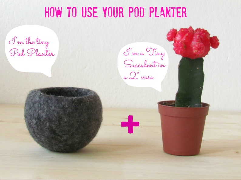 Succulent planter / air plant holder / cactus pot / plant vase / modern decor / housewarming gift for Christmas image 3