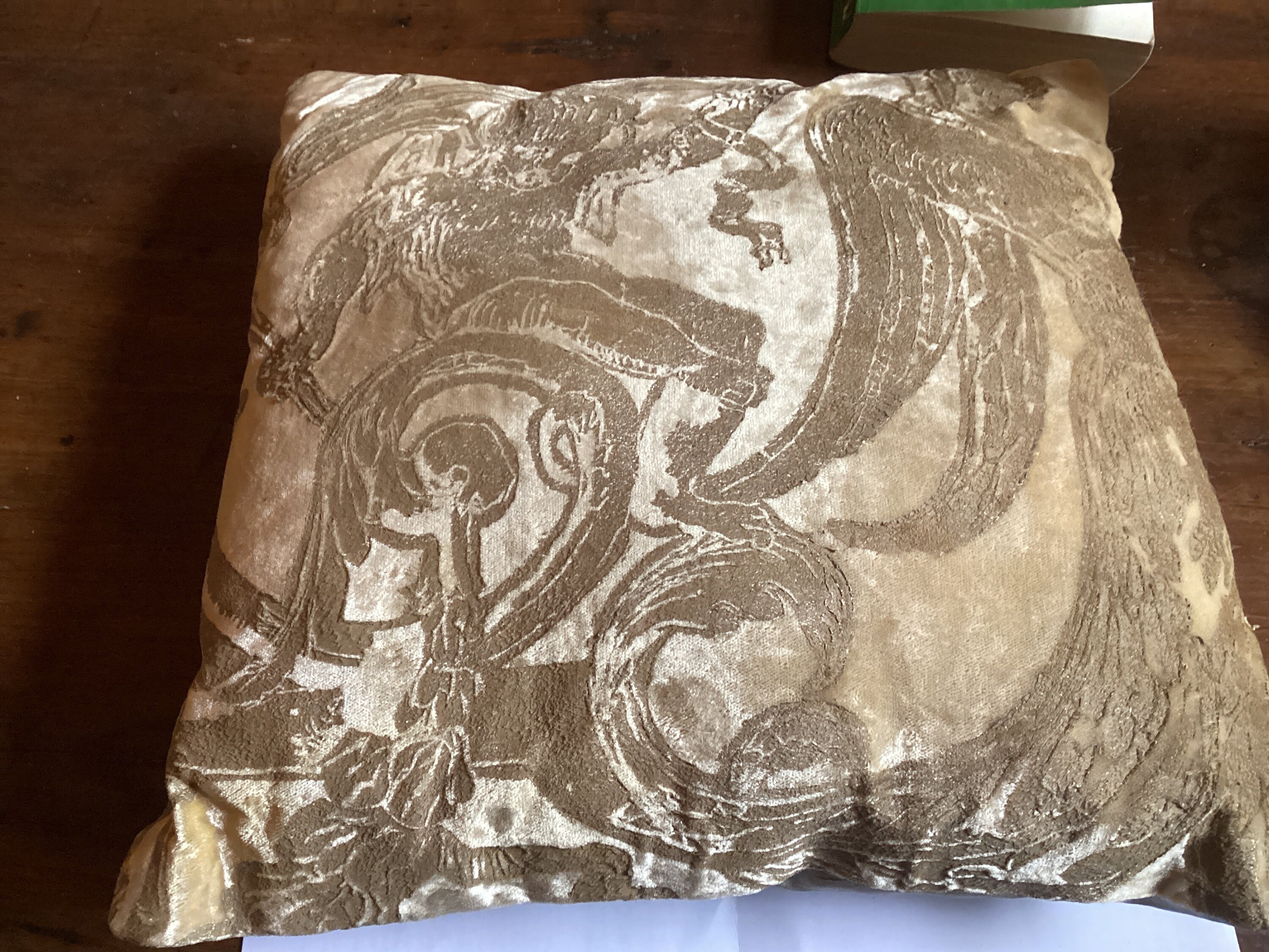 Coussin en Soie Fortuny