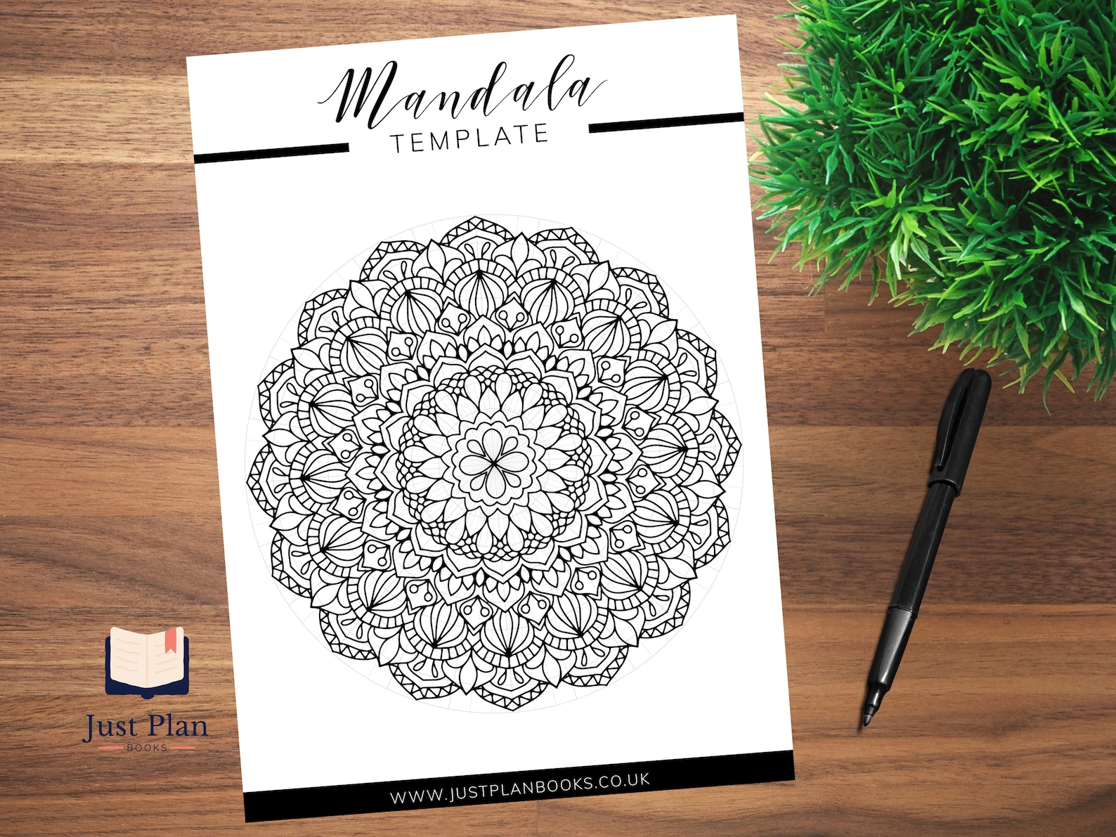 Blank Mandala Template Printable PDF Circle Grid Drawing Stencil Easy ...