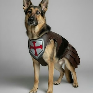 May include: A German Shepherd dog wearing a brown leather-like chest piece and skirt armor. The chest plate features a silver shield emblem with a red cross design. The armor is secured with visible metal rivets and covers the dog's torso and back.