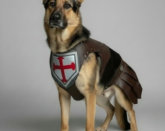 Conjunto para mascotas hecho a mano inspirado en He-Man
