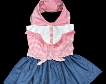 Dolly Parton Inspired Handmade Pet Outfit