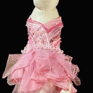 Handmade Glinda Witch Pet Costume