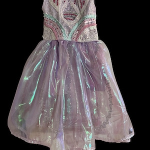 Handmade Glinda Witch 2 Pet Costume