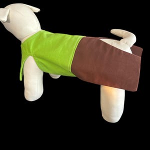 Shaggy