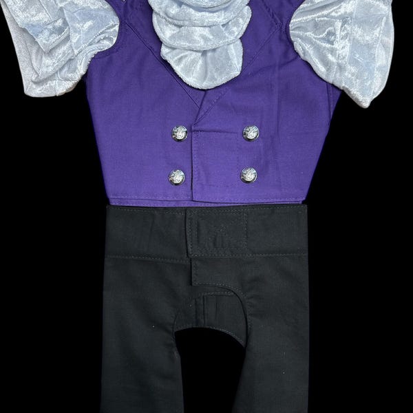 Prince Purple Rain Inspired Handmade Pet Outfit