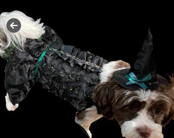 Disfraz de bruja verde para mascota hecho a mano