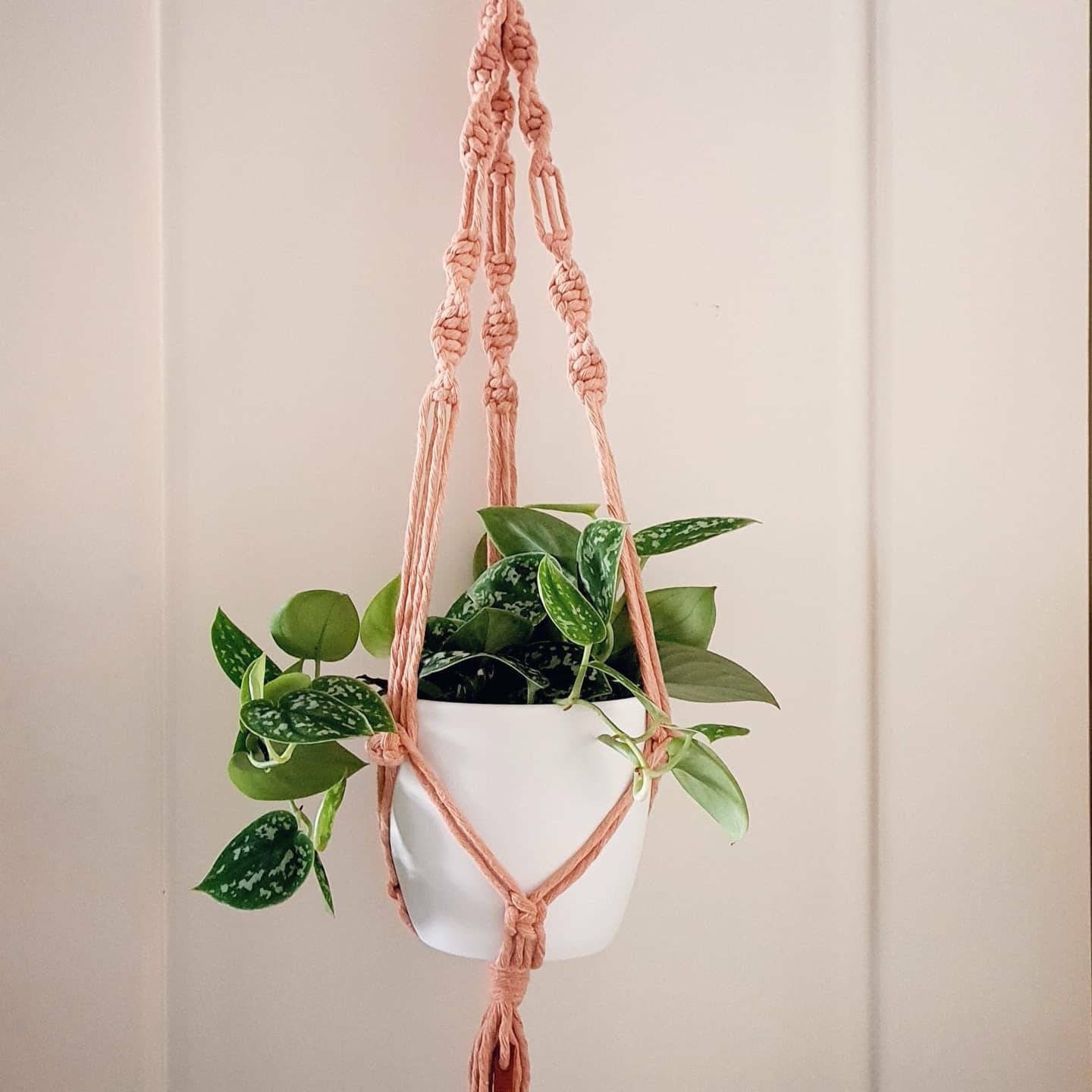 Macrame Plant Hanger Kit - Make Your Own Diy Knotted Plant Holder