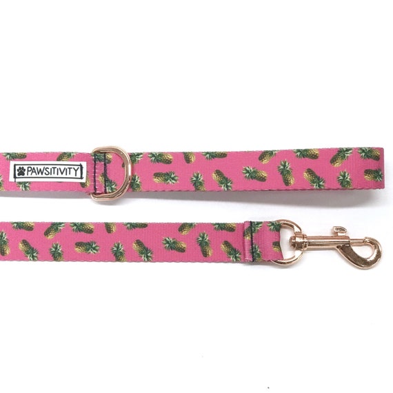 pineapple dog leash
