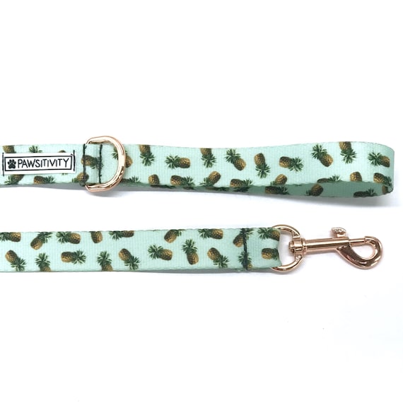 pineapple dog leash