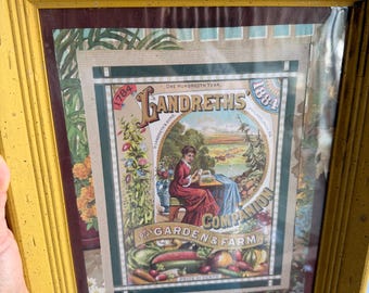 Vintage Landreth’s Seed Catalog Print | 1884 Botanical Wall Decor | Cottagecore Garden Art