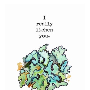 Op de afbeelding: Een aquarel-illustratie van een groene en blauwe korstmos met de tekst "I really lichen you."