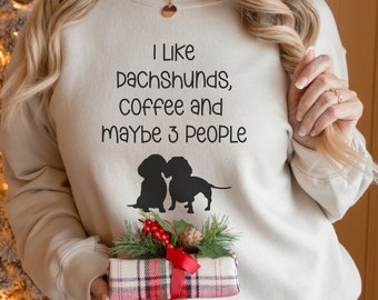 Cozy Dachshund Sweatshirt for Dog Lovers & Dachshund Owners! Ideal for Those Who Love Their Dog, Drink Coffee, and Have Few Friends