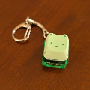 May include: A light green frog-shaped keychain with a silver keyring. The keychain has a light green face with black eyes and a mouth. The body is a transparent green color.