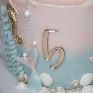 Torten Anhänger Nummer, Torten Charm Nummer, Tortennummer Nummer auf der Torte, Tortennummer Nummer auf der Torte, Tortennummer Nummer 1, Geburtstagsnummer Nummer 1, Tortennummer Nummer 100