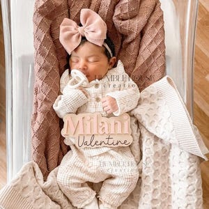 Hospital Name Announcement, Baby shower gift, Hospital plaque, Baby name sign- Name Announcement, Mini Baby Name Sign, Hello My Name Is,