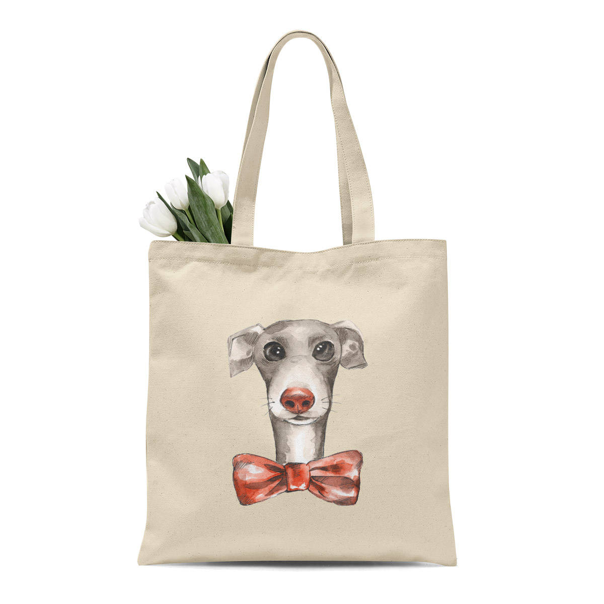 Greyhound Whippet Italian Greyhound: Differences And Similarities