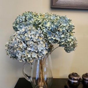 Hortensias séchés naturellement/Décoration de mariage/Décoration vintage/Décoration d&#39;événement/Décoration de vacances (récolte 2024) Nuances de bleu/vert/violet/marron