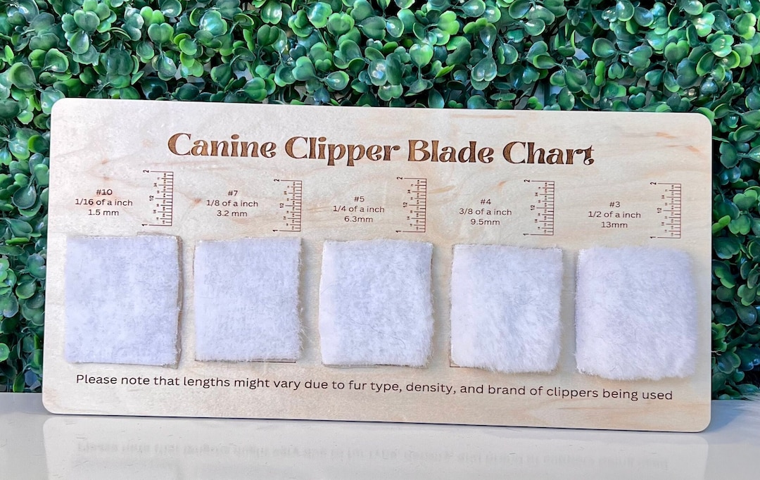 Canine Clipper Blade Chart Groomers Hair Chart Grooming Salon Hair