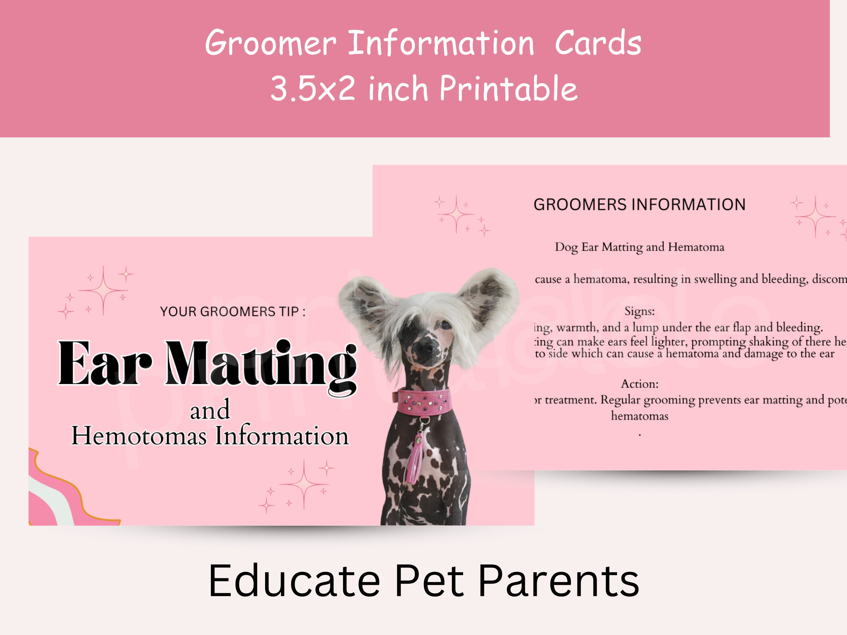 Dog Groomer Matting and Hemotoma Information Printable Great for Pet