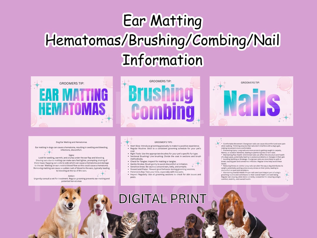 Dog Groomer Matting and Hemotoma Information Printable Cards
