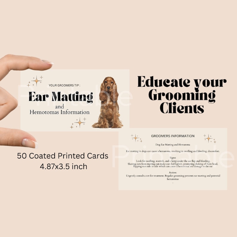 Do You Tip Dog Groomers? Why and How Much? - Top Dog Tips