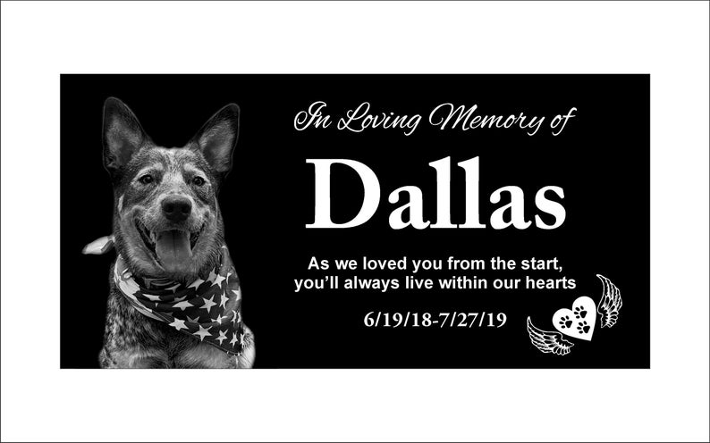 May include: Black and white photo of a dog named Dallas with a bandana on. The text reads "In Loving Memory of Dallas As we loved you from the start, you'll always live within our hearts 6/19/18-7/27/19".