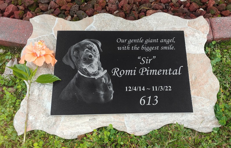 May include: Black granite pet memorial with a photo of a black dog, the text "Our gentle giant angel, with the biggest smile. "Sir" Romi Pimental 12/4/14~11/3/22 613", and a pink hibiscus flower.
