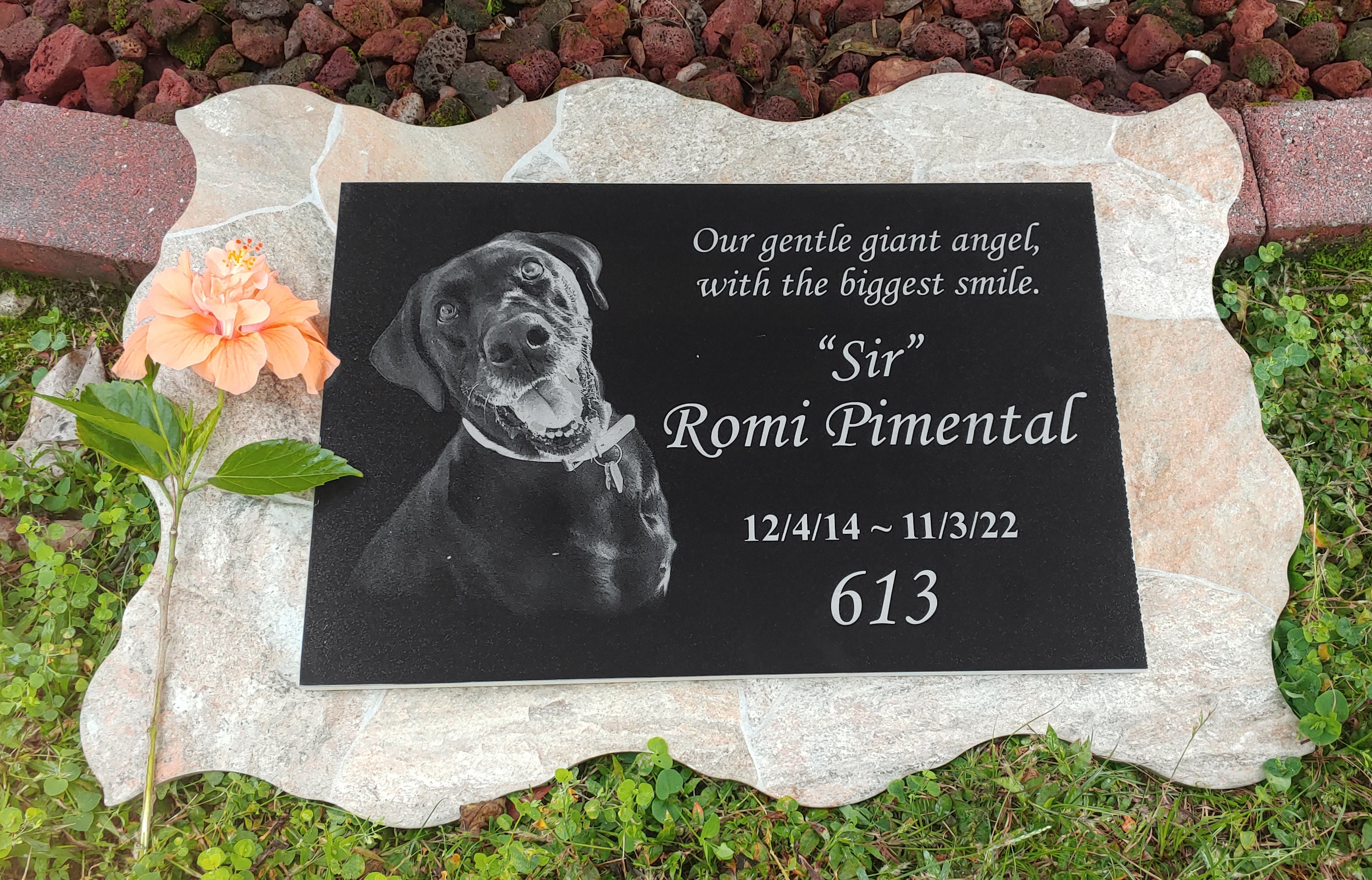 Exhart Dog Memorial Marker 11.75 in. x 11.75 in. x 0.875 in. Dog