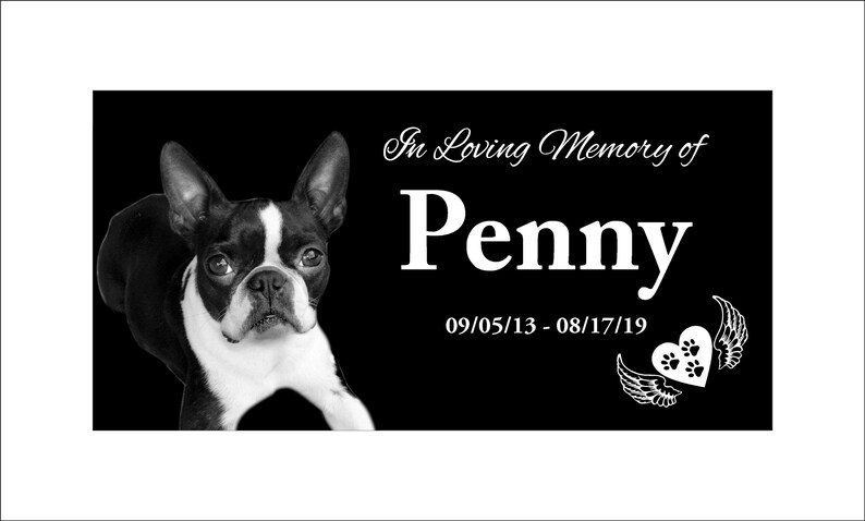 May include: Black and white photo of a Boston Terrier dog on a black background. The text "In Loving Memory of Penny 09/05/13 - 08/17/19" is printed in white below the dog. A white heart with paw prints and angel wings is printed in the bottom right corner.