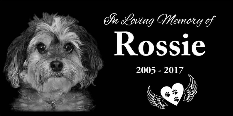 May include: Black and white memorial plaque with a photo of a small, fluffy dog. The text reads "In Loving Memory of Rossie 2005-2017" and features a heart with paw prints and angel wings.