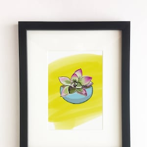 Succulent Illustration - (Digital Art, Wall Art, DIY Decor, Home Decor, Plant, Cactus, Potted Plant, Modern Plant)