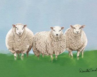 Sheep Greeting Card