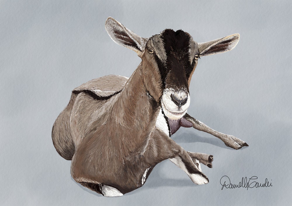 Goat Gift Holiday Set With Goat Christmas Card, Goat Notepad and Goat ...