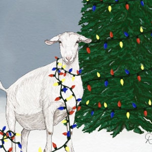 Goat Christmas Card